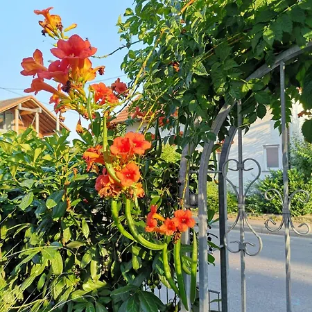 Casa Antico 2 アパート Steinheim an der Murr